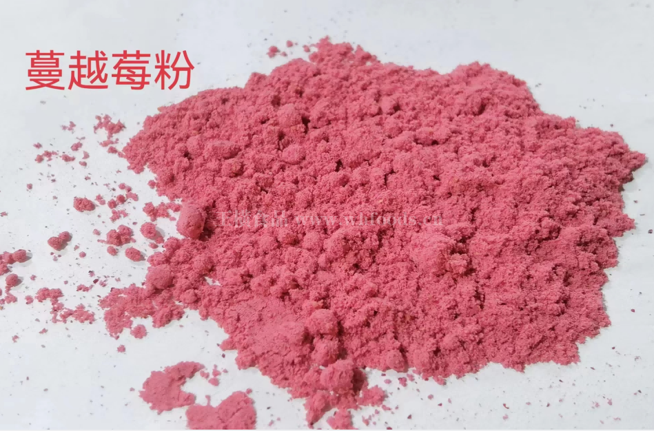 广东蔓越莓粉